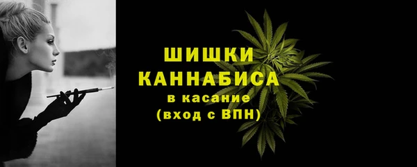 твердый Богородицк