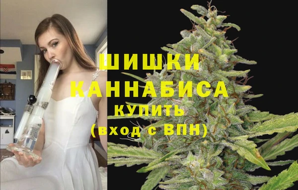 твердый Богородицк