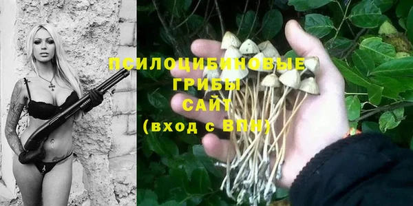 твердый Богородицк