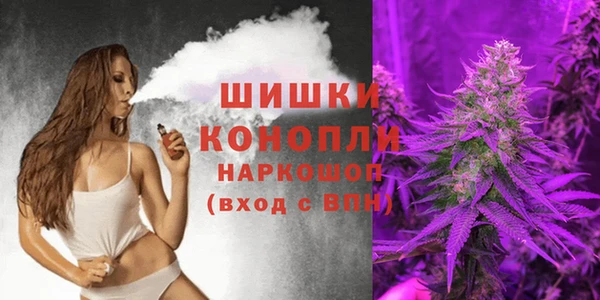 твердый Богородицк