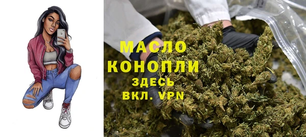 твердый Богородицк