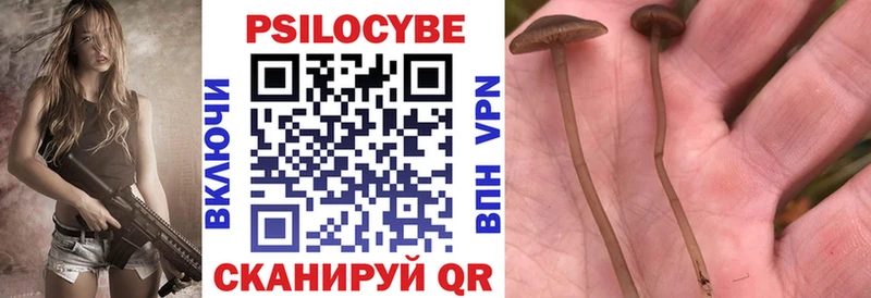 наркотики  Бронницы  Псилоцибиновые грибы Magic Shrooms 